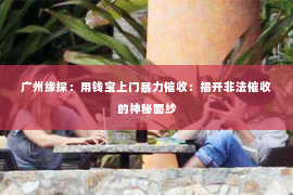 广州缘探：用钱宝上门暴力催收：揭开非法催收的神秘面纱