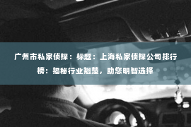 广州市私家侦探：标题：上海私家侦探公司排行榜：揭秘行业翘楚，助您明智选择