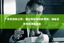 广州市侦探公司：临汾有私家侦探律师：揭秘法律界的神秘身影