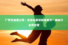 广州市调查公司：合肥私家侦探哪里好？揭秘行业佼佼者