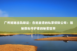 广州婚姻出轨取证：合肥靠谱的私家侦探公司：揭秘隐私守护者的秘密世界