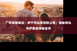 广州婚姻取证：伊宁市私家侦探公司：揭秘隐私守护者的神秘世界