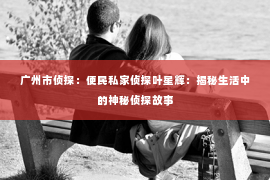 广州市侦探：便民私家侦探叶星辉：揭秘生活中的神秘侦探故事