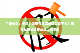 广州侦探：标题：哪里有私家侦探公司平台？揭秘私家侦探行业线上聚集地